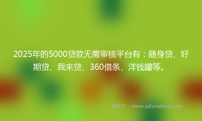 2025年的5000贷款无需审核平台有：随身贷、好期贷、我来贷、360借条、洋钱罐等。