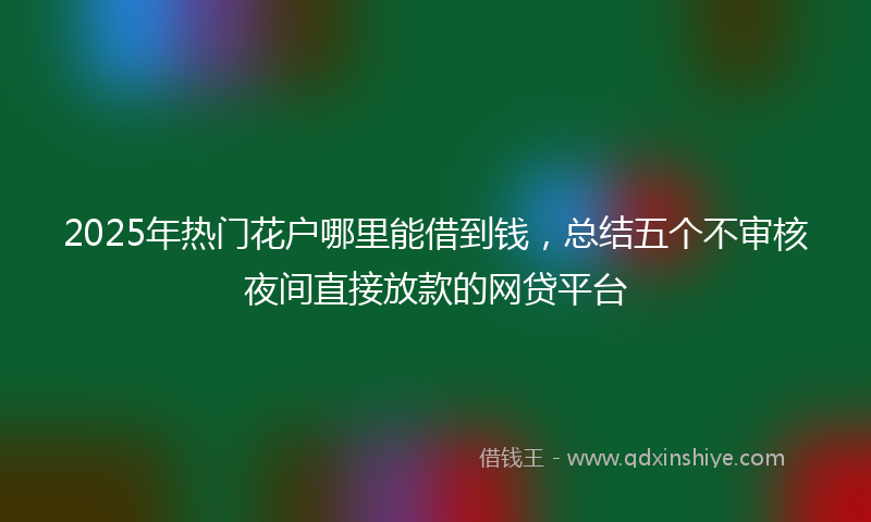 2025年热门花户哪里能借到钱，总结五个不审核夜间直接放款的网贷平台