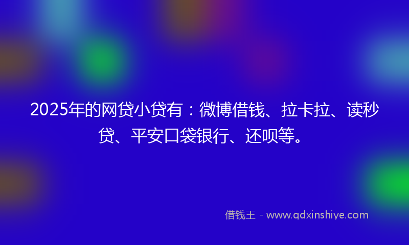 2025年的网贷小贷有：微博借钱、拉卡拉、读秒贷、平安口袋银行、还呗等。