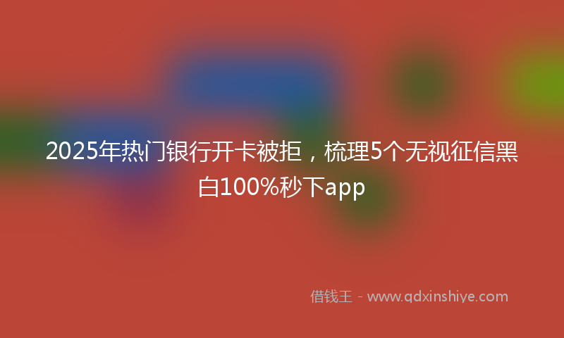 2025年热门银行开卡被拒，梳理5个无视征信黑白100%秒下app
