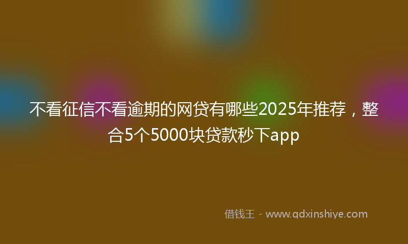 不看征信不看逾期的网贷有哪些2025年推荐,整合5个5000块贷款秒下app