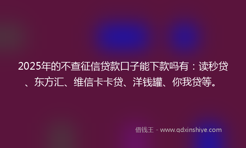 2025年的不查征信贷款口子能下款吗有：读秒贷、东方汇、维信卡卡贷、洋钱罐、你我贷等。