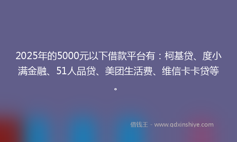 2025年的5000元以下借款平台有：柯基贷、度小满金融、51人品贷、美团生活费、维信卡卡贷等。