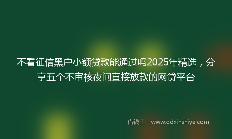 不看征信黑户小额贷款能通过吗2025年精选，分享五个不审核夜间直接放款的网贷平台