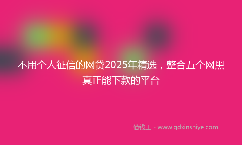 不用个人征信的网贷2025年精选，整合五个网黑真正能下款的平台
