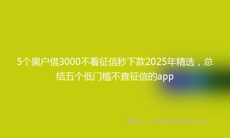 5个黑户借3000不看征信秒下款2025年精选，总结五个低门槛不查征信的app