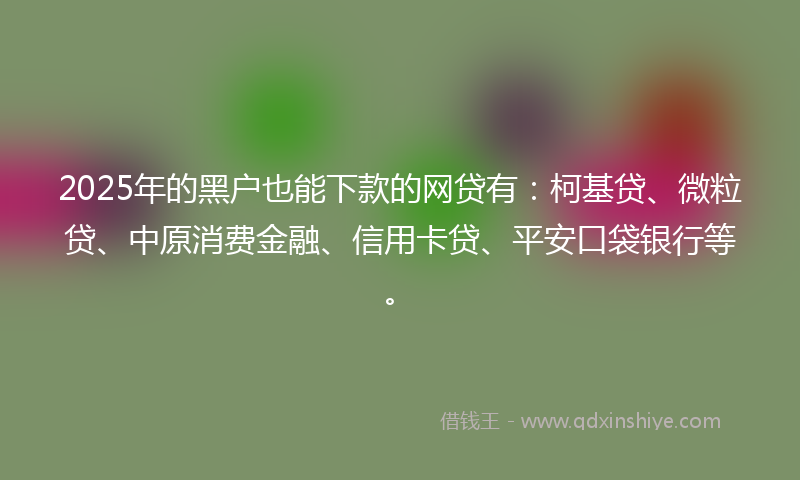 2025年的黑户也能下款的网贷有：柯基贷、微粒贷、中原消费金融、信用卡贷、平安口袋银行等。