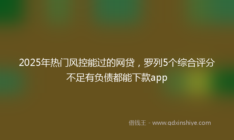 2025年热门风控能过的网贷，罗列5个综合评分不足有负债都能下款app