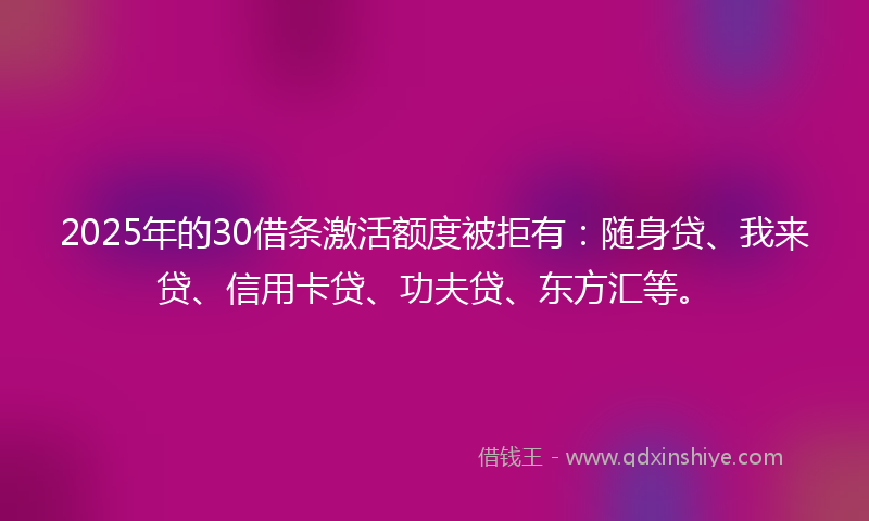 2025年的30借条激活额度被拒有：随身贷、我来贷、信用卡贷、功夫贷、东方汇等。