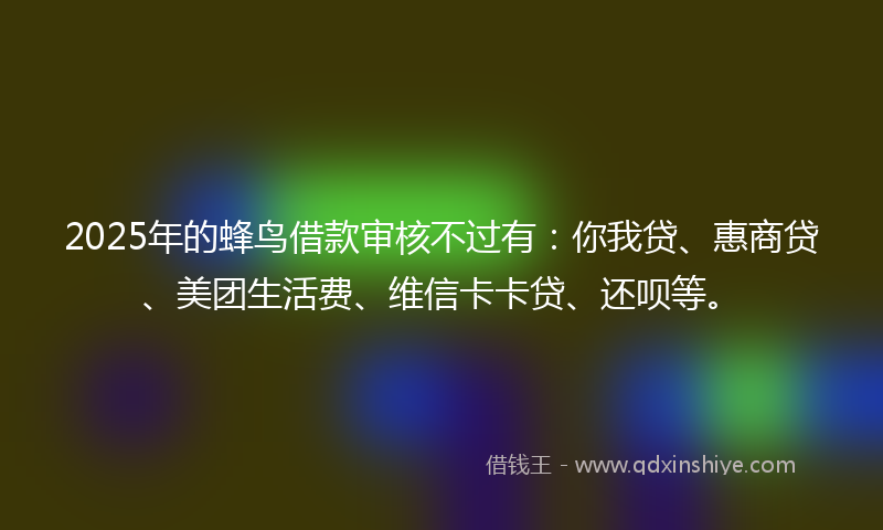 2025年的蜂鸟借款审核不过有：你我贷、惠商贷、美团生活费、维信卡卡贷、还呗等。