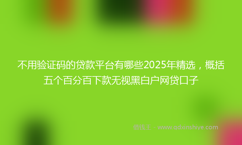 不用验证码的贷款平台有哪些2025年精选，概括五个百分百下款无视黑白户网贷口子