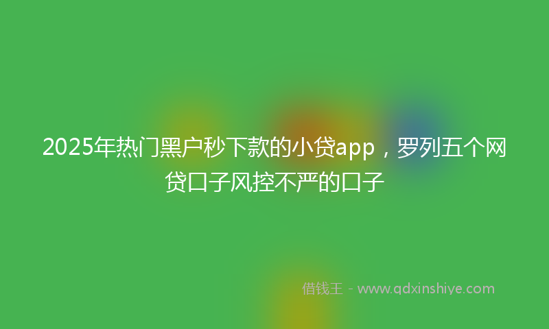2025年热门黑户秒下款的小贷app，罗列五个网贷口子风控不严的口子