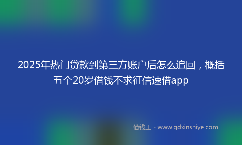 2025年热门贷款到第三方账户后怎么追回，概括五个20岁借钱不求征信速借app