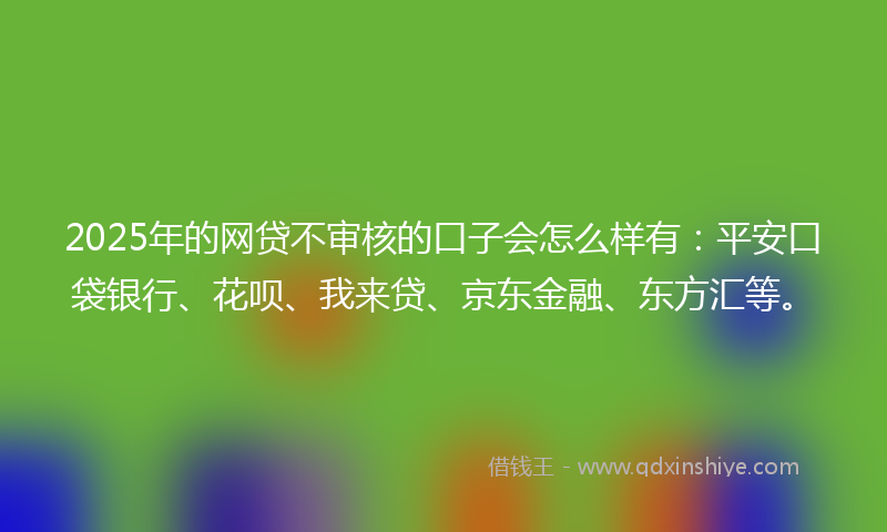 2025年的网贷不审核的口子会怎么样有：平安口袋银行、花呗、我来贷、京东金融、东方汇等。