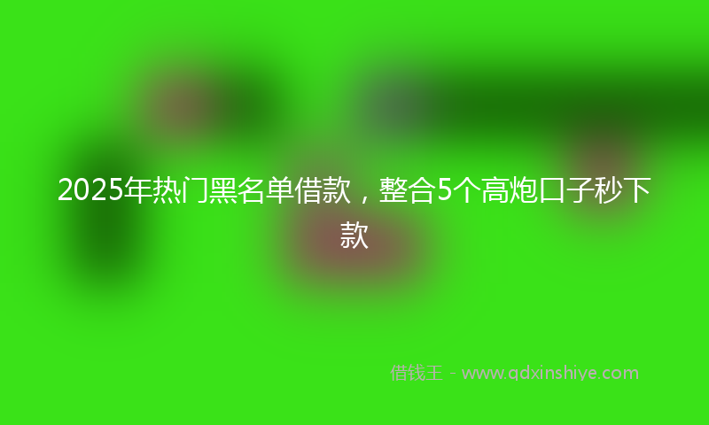 2025年热门黑名单借款，整合5个高炮口子秒下款