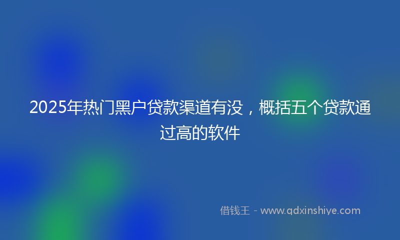 2025年热门黑户贷款渠道有没，概括五个贷款通过高的软件