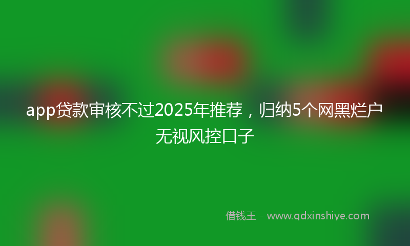 app贷款审核不过2025年推荐，归纳5个网黑烂户无视风控口子