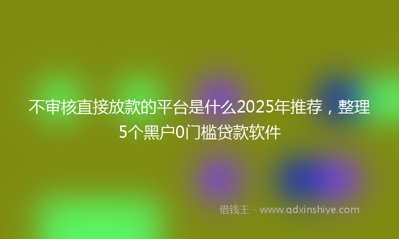不审核直接放款的平台是什么2025年推荐，整理5个黑户0门槛贷款软件