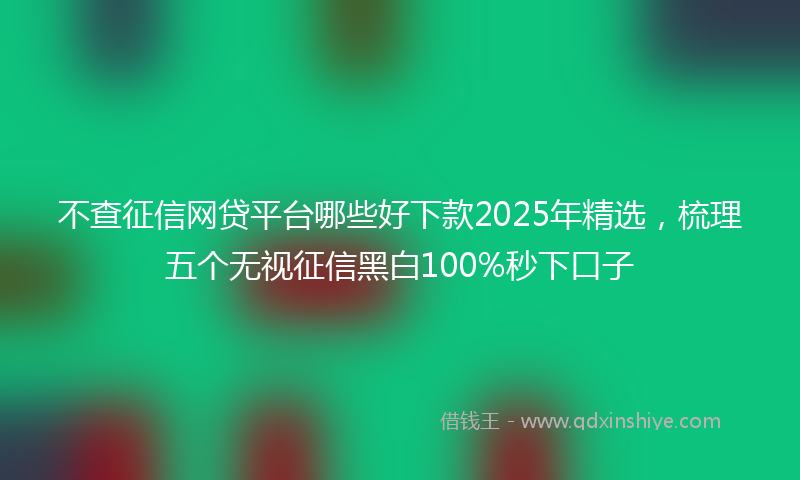 不查征信网贷平台哪些好下款2025年精选，梳理五个无视征信黑白100%秒下口子