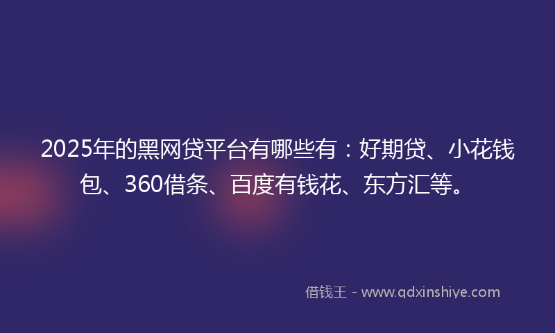 2025年的黑网贷平台有哪些有：好期贷、小花钱包、360借条、百度有钱花、东方汇等。