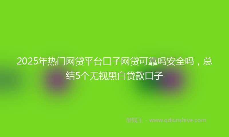 2025年热门网贷平台口子网贷可靠吗安全吗，总结5个无视黑白贷款口子