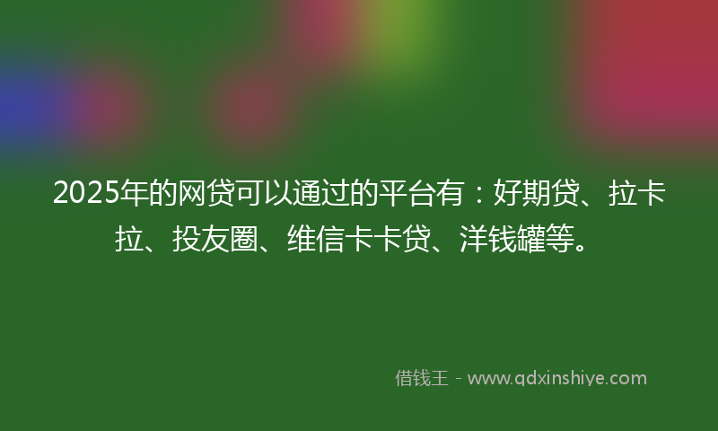 2025年的网贷可以通过的平台有：好期贷、拉卡拉、投友圈、维信卡卡贷、洋钱罐等。