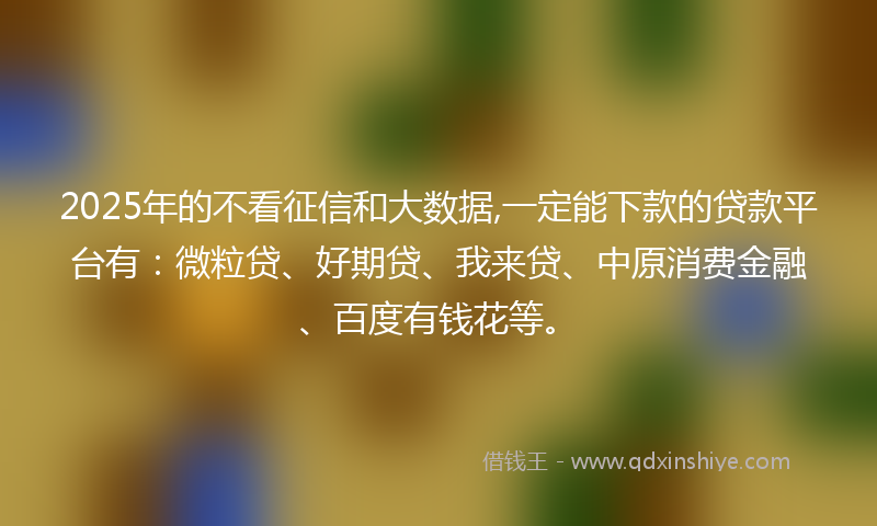 2025年的不看征信和大数据,一定能下款的贷款平台有：微粒贷、好期贷、我来贷、中原消费金融、百度有钱花等。