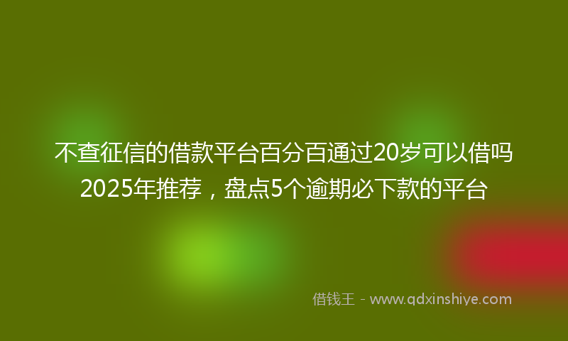 不查征信的借款平台百分百通过20岁可以借吗2025年推荐，盘点5个逾期必下款的平台