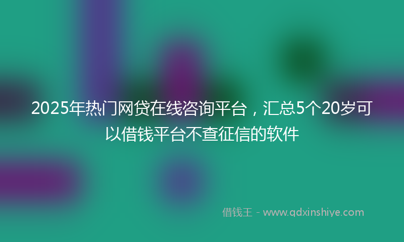 2025年热门网贷在线咨询平台，汇总5个20岁可以借钱平台不查征信的软件