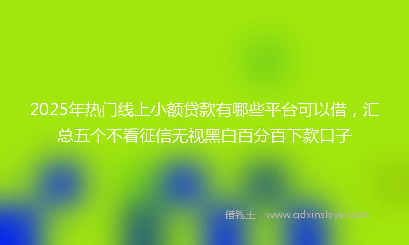 2025年热门线上小额贷款有哪些平台可以借，汇总五个不看征信无视黑白百分百下款口子