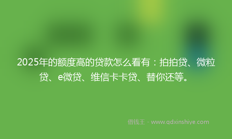 2025年的额度高的贷款怎么看有：拍拍贷、微粒贷、e微贷、维信卡卡贷、替你还等。