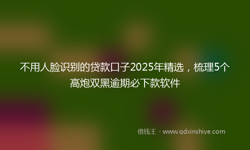 不用人脸识别的贷款口子2025年精选，梳理5个高炮双黑逾期必下款软件