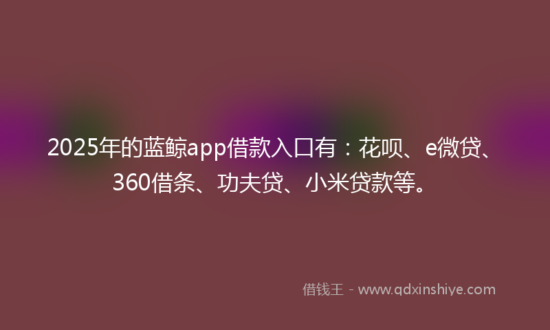 2025年的蓝鲸app借款入口有:花呗、e微贷、360借条、功夫贷、小米贷款等。