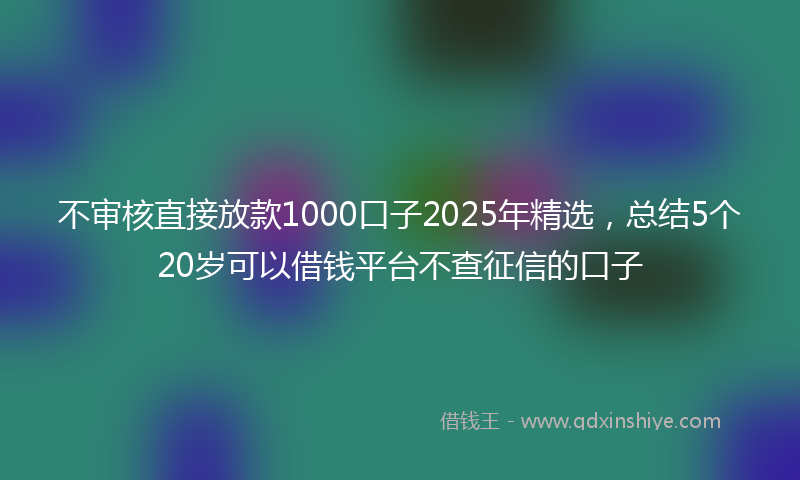 不审核直接放款1000口子2025年精选，总结5个20岁可以借钱平台不查征信的口子
