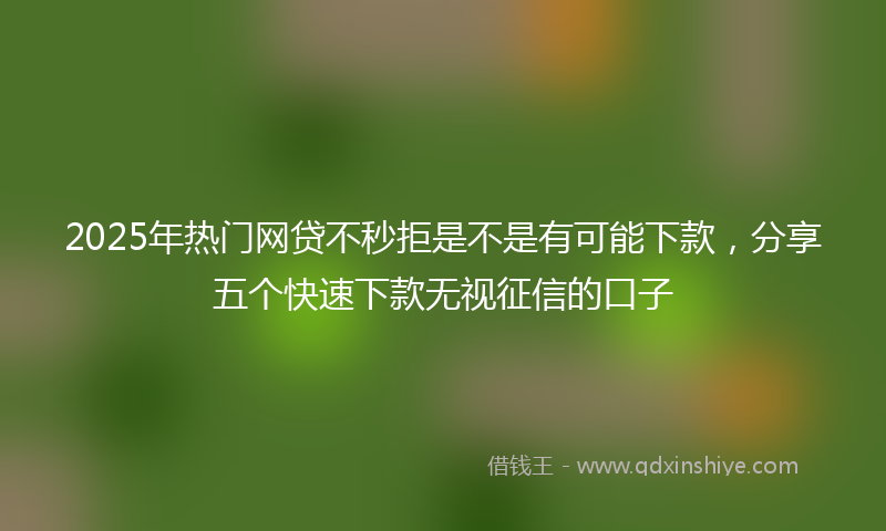 2025年热门网贷不秒拒是不是有可能下款，分享五个快速下款无视征信的口子