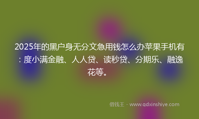 2025年的黑户身无分文急用钱怎么办苹果手机有：度小满金融、人人贷、读秒贷、分期乐、融逸花等。