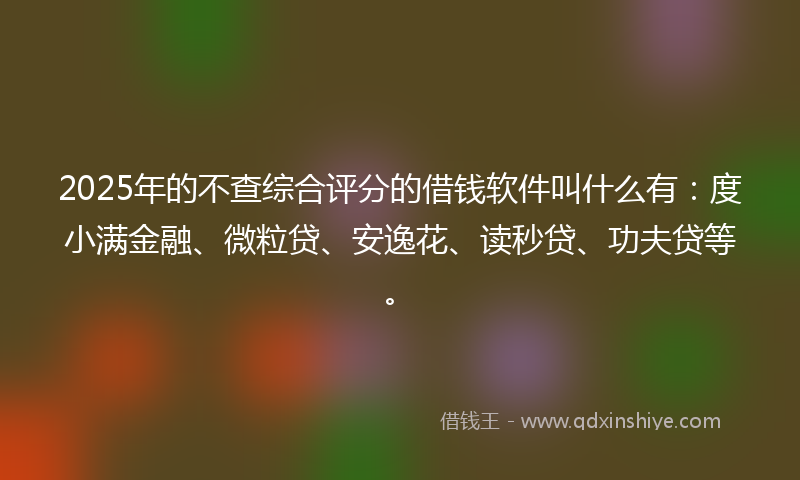 2025年的不查综合评分的借钱软件叫什么有：度小满金融、微粒贷、安逸花、读秒贷、功夫贷等。