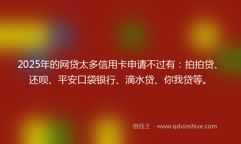 2025年的网贷太多信用卡申请不过有：拍拍贷、还呗、平安口袋银行、滴水贷、你我贷等。