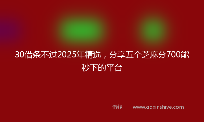 30借条不过2025年精选，分享五个芝麻分700能秒下的平台