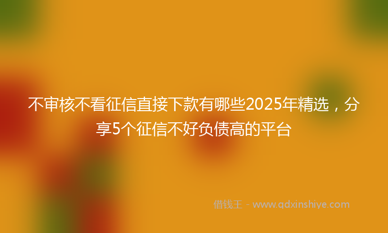不审核不看征信直接下款有哪些2025年精选，分享5个征信不好负债高的平台