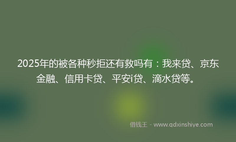 2025年的被各种秒拒还有救吗有：我来贷、京东金融、信用卡贷、平安i贷、滴水贷等。