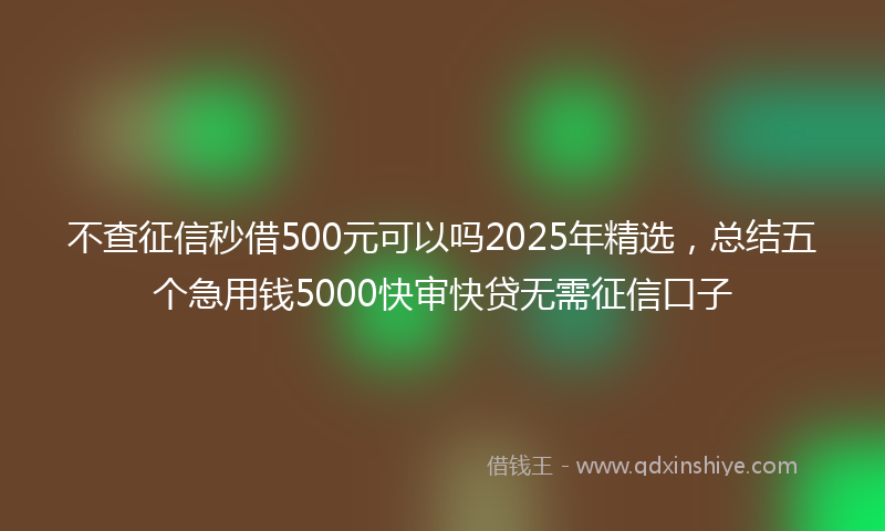 不查征信秒借500元可以吗2025年精选，总结五个急用钱5000快审快贷无需征信口子