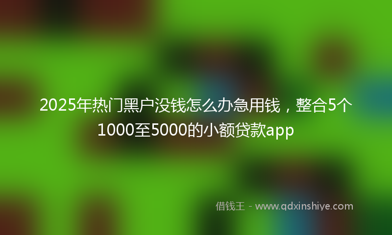 2025年热门黑户没钱怎么办急用钱，整合5个1000至5000的小额贷款app