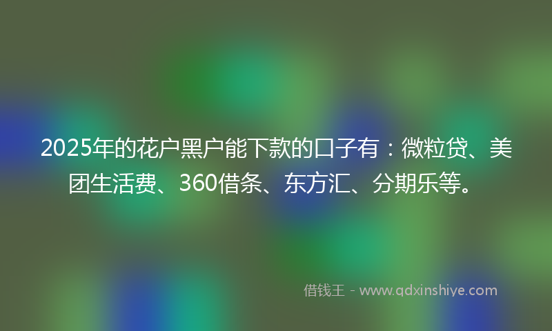 2025年的花户黑户能下款的口子有：微粒贷、美团生活费、360借条、东方汇、分期乐等。