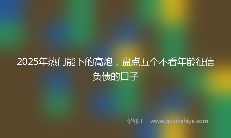 2025年热门能下的高炮，盘点五个不看年龄征信负债的口子