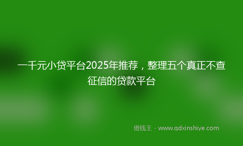 一千元小贷平台2025年推荐，整理五个真正不查征信的贷款平台