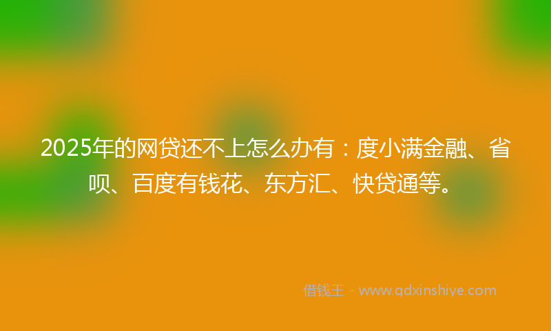 2025年的网贷还不上怎么办有：度小满金融、省呗、百度有钱花、东方汇、快贷通等。