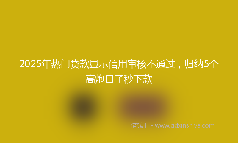 2025年热门贷款显示信用审核不通过，归纳5个高炮口子秒下款