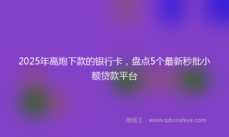 2025年高炮下款的银行卡，盘点5个最新秒批小额贷款平台