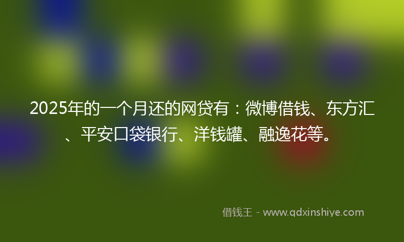2025年的一个月还的网贷有：微博借钱、东方汇、平安口袋银行、洋钱罐、融逸花等。